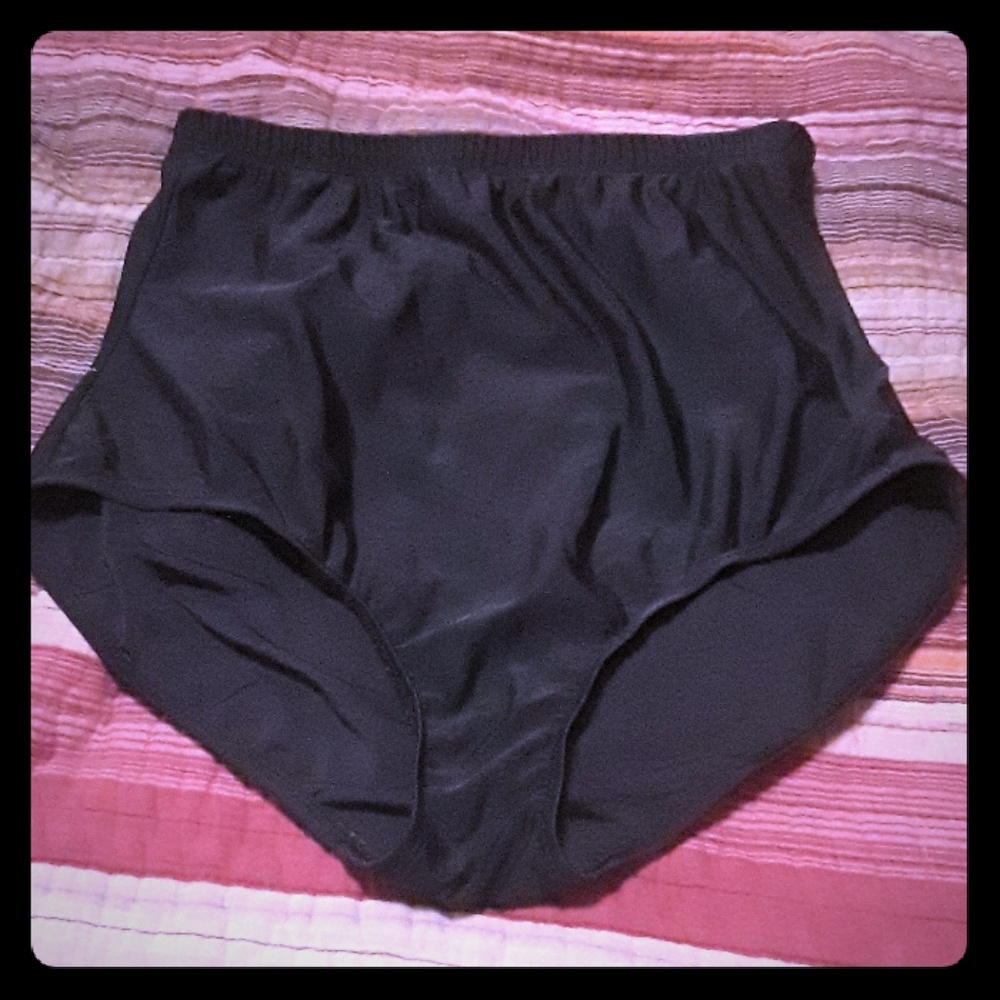 High Waisted Swim Bottoms 16W
